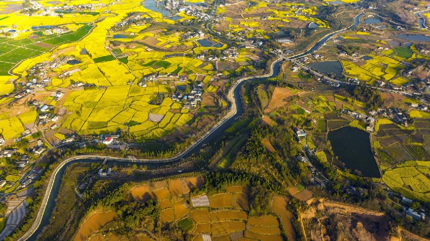 都江堰灌區。四川省都江堰水利發展中心供圖