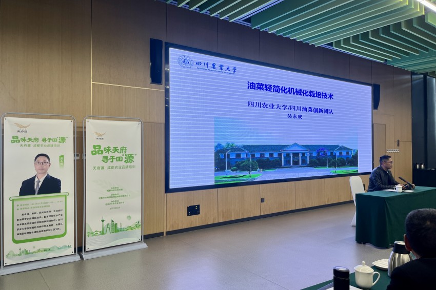 培训现场。主办方供图