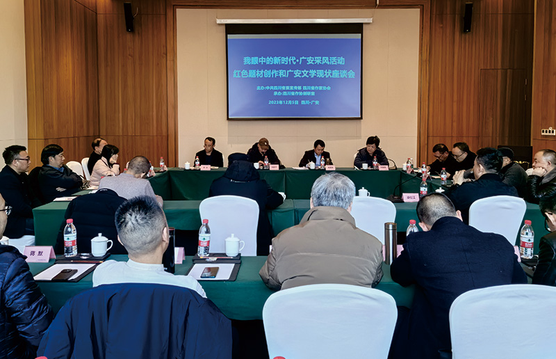 座谈会现场。