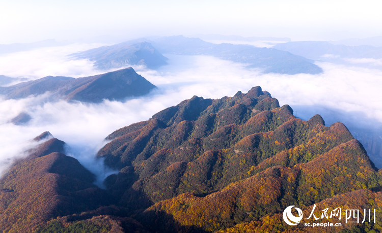 雾漫剑门群山。李自公摄