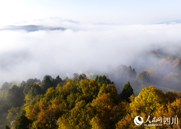 云雾绕群山。李自公摄