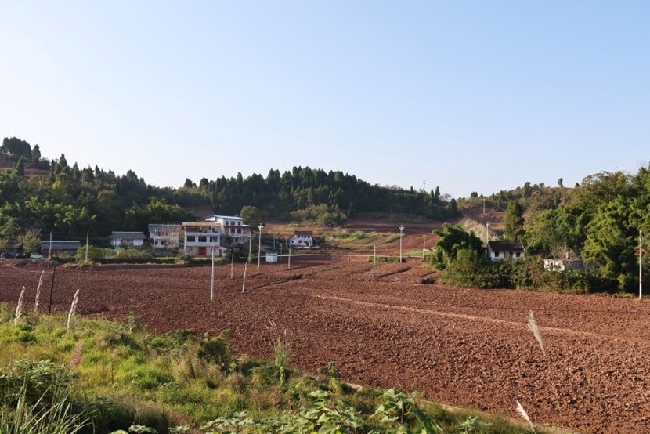 遂寧全面推進“田長制”。遂寧市自然資源和規劃局供圖