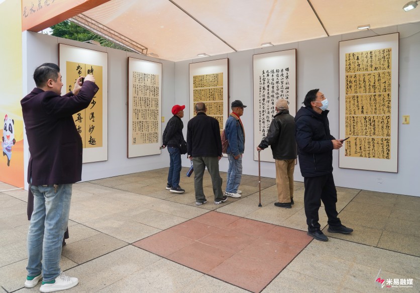 书法展。米易县融媒体中心供图