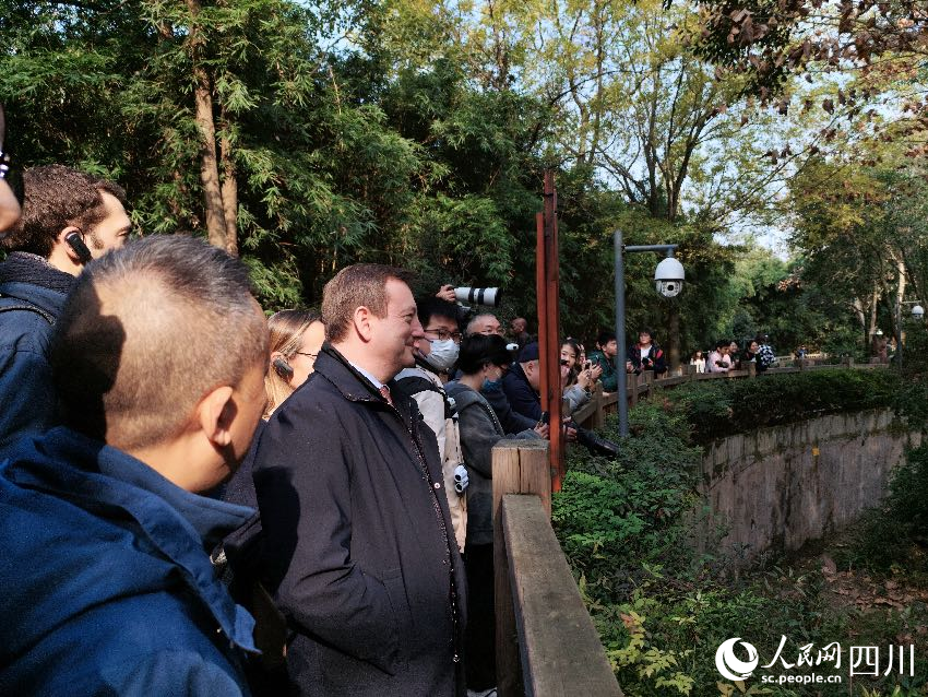 法国驻华大使白玉堂参访成都大熊猫繁育研究基地，看望首只在法国出生的大熊猫幼崽“圆梦”。人民网记者 朱虹摄
