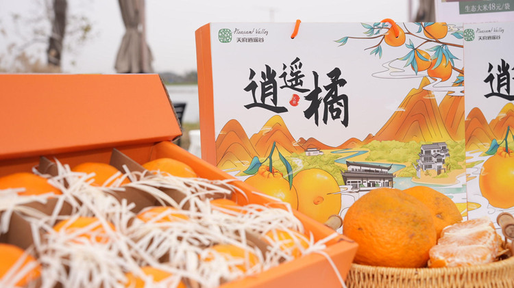 美食特色产品展示。四川天府新区正兴街道供图