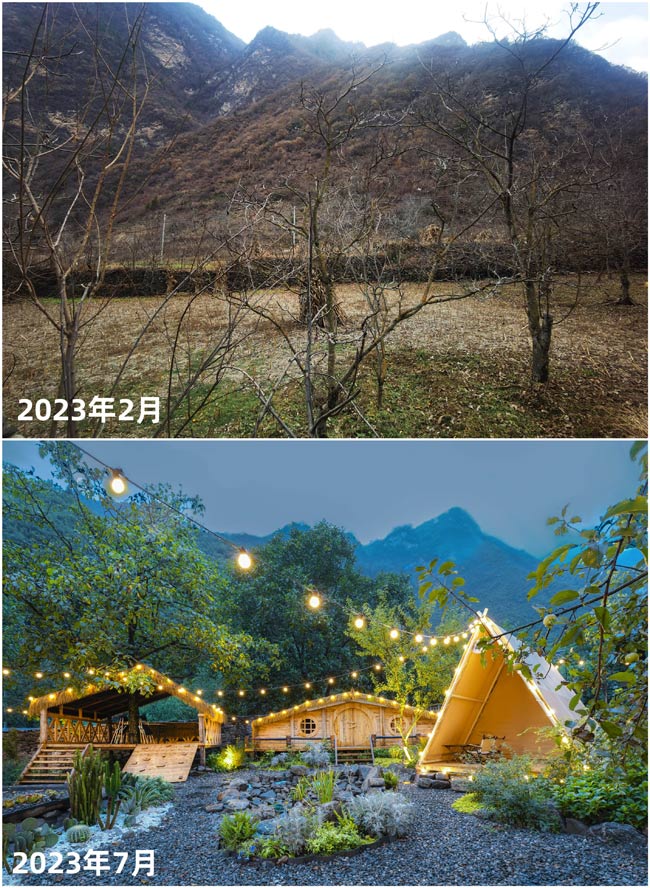 “果园变花园”改造前后对比。四川省委宣传部供图
