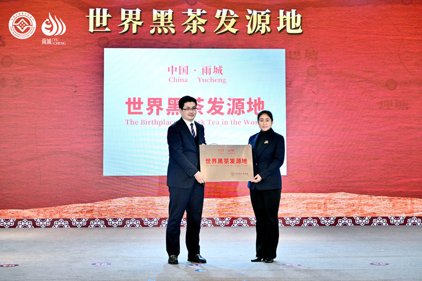 授牌仪式现场 主办方供图