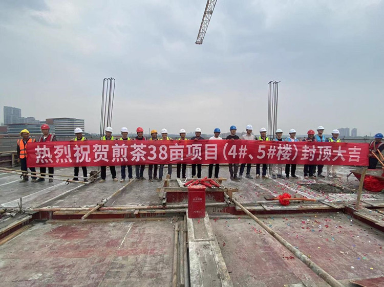 煎茶38亩现场图。天府新区融媒体中心供图