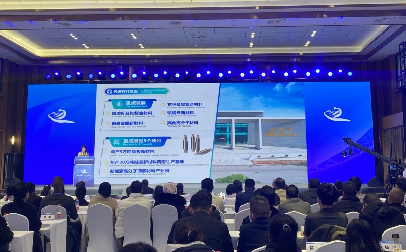 经贸投资推介会现场。 实习生 杨妍冰摄