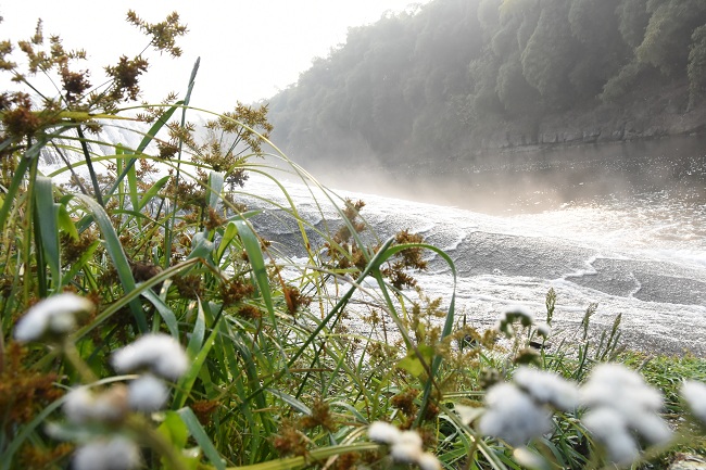 流入旭水河的达标水。荣媒供图