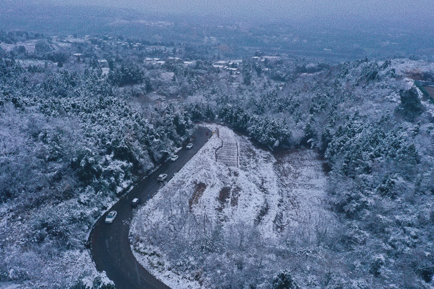 漫山披上银装。中江县委宣传部供图