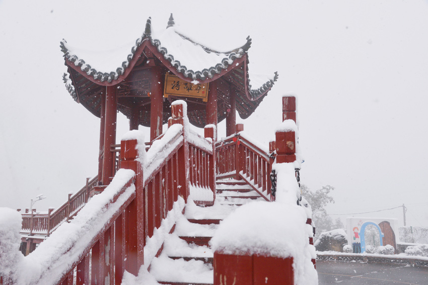 将离亭迎雪而立。中江县委宣传部供图
