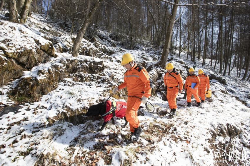 国网绵阳供电公司在江油市武都镇北城村观雾山巡视10千伏武北线观雾支线。田海摄