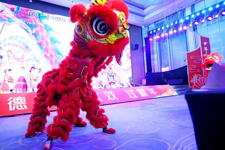 舞狮表演。主办方供图