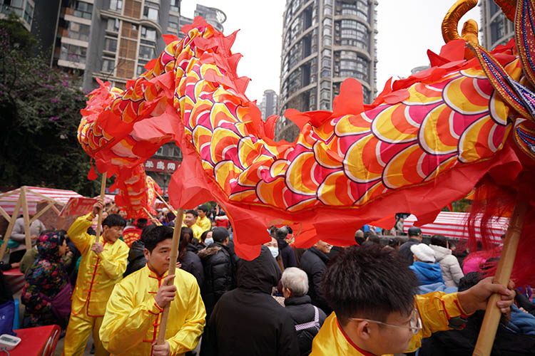 舞龙现场。主办方供图