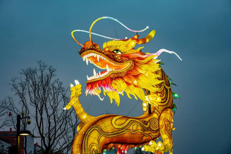 栩栩如生的朤朤龙。天府新区融媒体中心供图