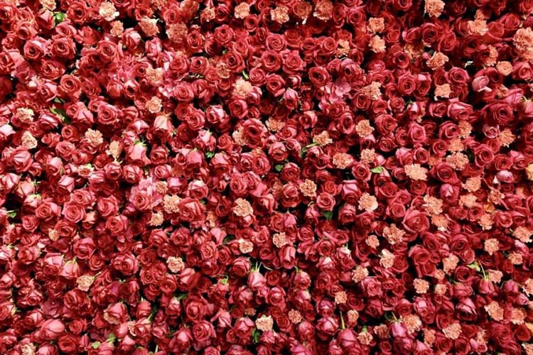 鲜花打造的花屋。天府新区融媒体中心供图