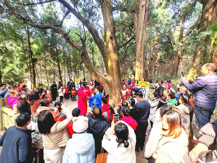 翠云廊景区“点树交印”巡演。剑阁县委宣传部供图