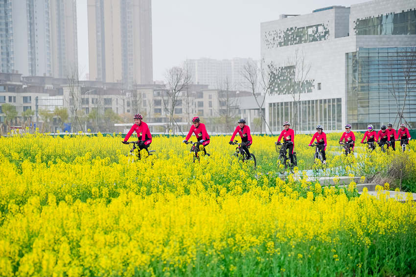 騎行愛好者在四川省眉山市彭山區“五湖四海”濕地公園綠道騎行賞花。翁光建攝