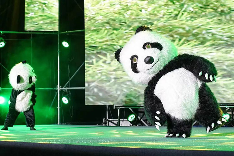 资料图：熊猫杂技表演。天府新区融媒体中心供图