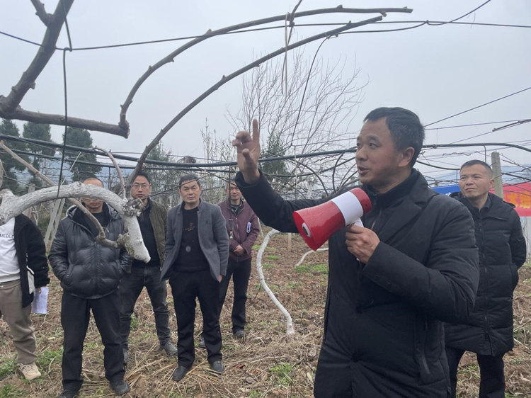 猕猴桃管理技术指导现场。苍溪县融媒体中心供图
