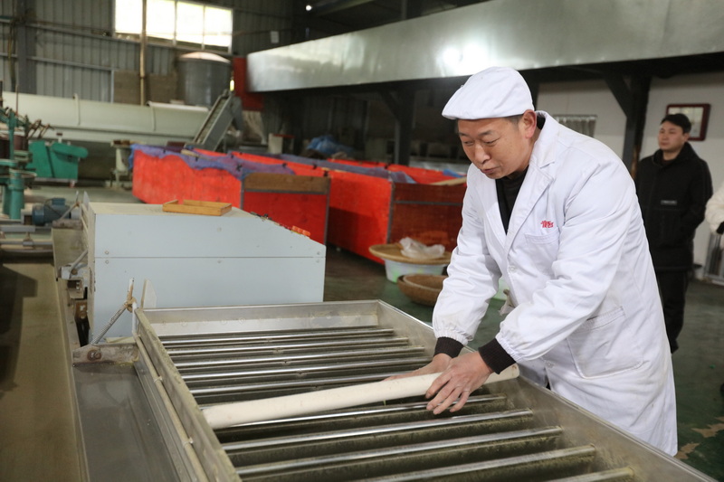 对杀青后的茶叶压棒做型。马发海摄