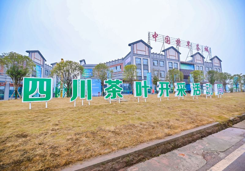 四川省第十一届茶叶开采活动周启动。纳溪区委宣传部供图