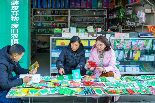 春耕备耕时节农技人员对农资放心店种子进行检查 张志强摄