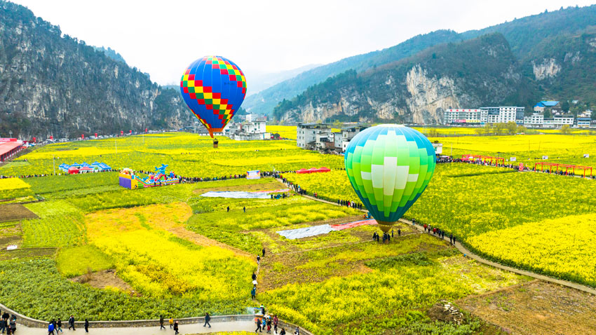 游客乘坐熱氣球俯瞰花田