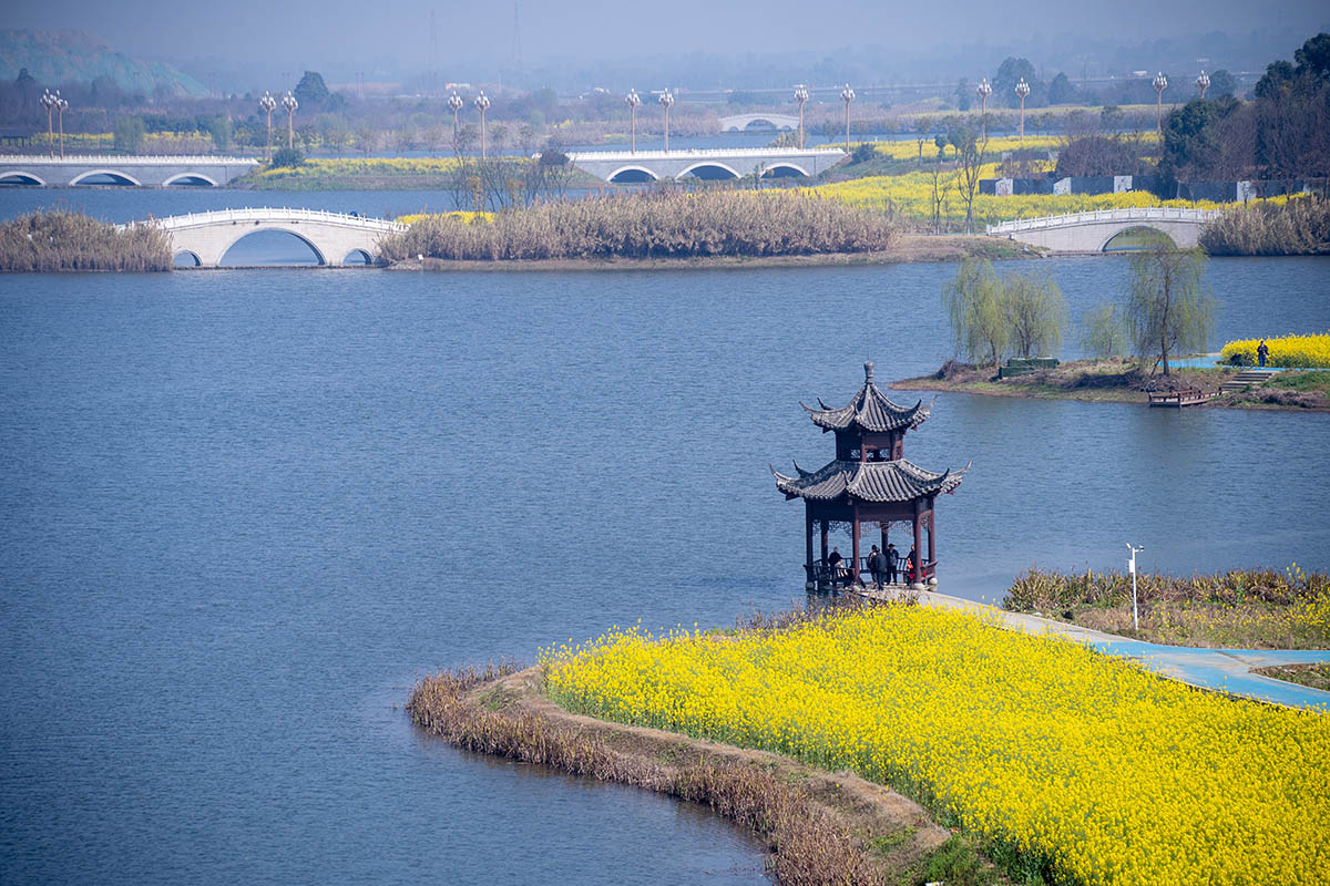 市民在湿地公园里休息。翁光建摄