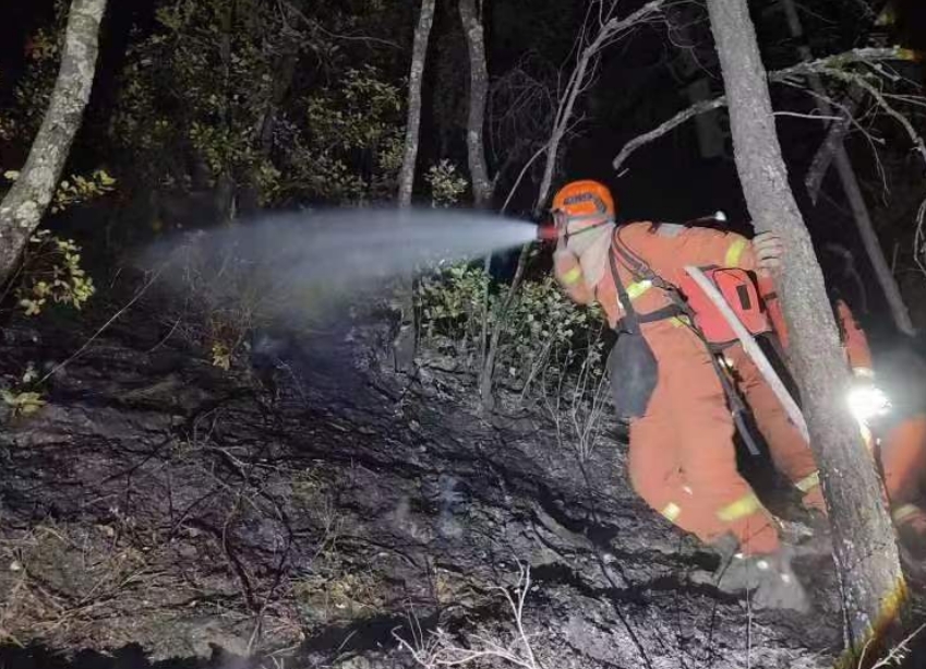 救援力量正在处理火情 四川省森林消防总队供图