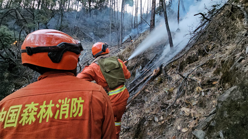 消防隊員挺身而出。四川省森林消防總隊供圖