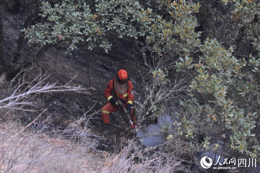 四川省森林消防总队攀枝花市支队森林消防员正在全力扑救山火。殷豪良摄