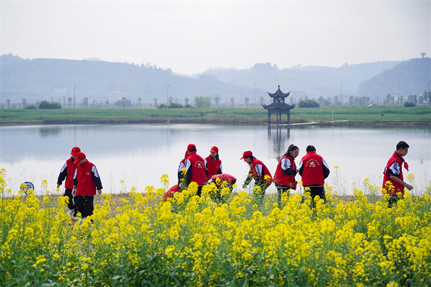 3月20日，四川省眉山市彭山区第三中学师生志愿者在五湖四海湿地公园湖边捡拾垃圾。翁光建摄