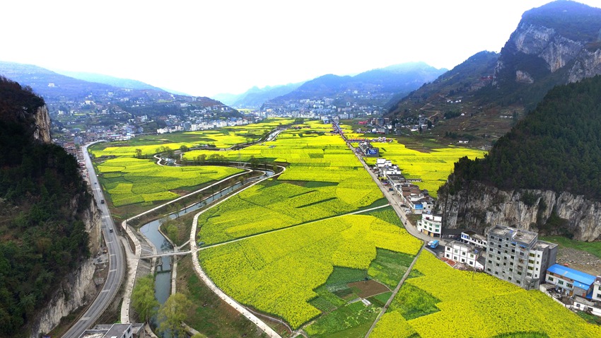 双沙坝子。古蔺县文化广播电视和旅游局供图