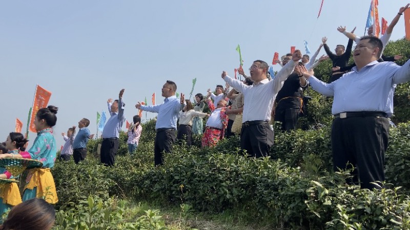 喊山开茶仪式。夏铭悦供图