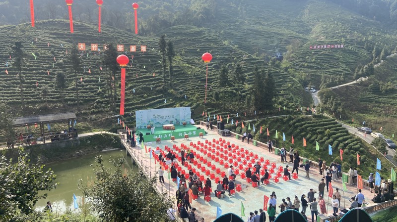 活动现场。夏铭悦供图