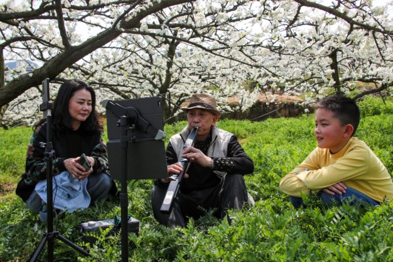 游客在李花丛中游玩。宣汉县委宣传部供图