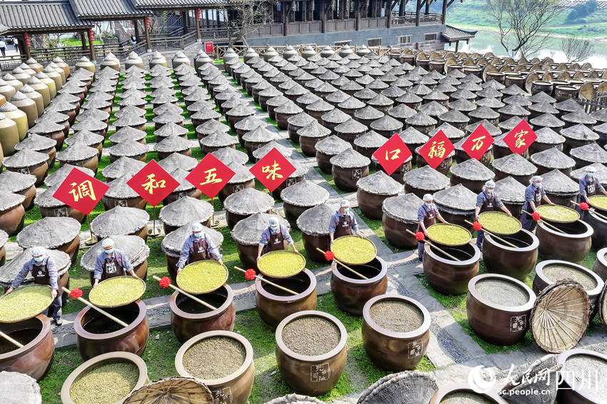 工人抢抓时节开启今春的手工投料工作。李贵平摄