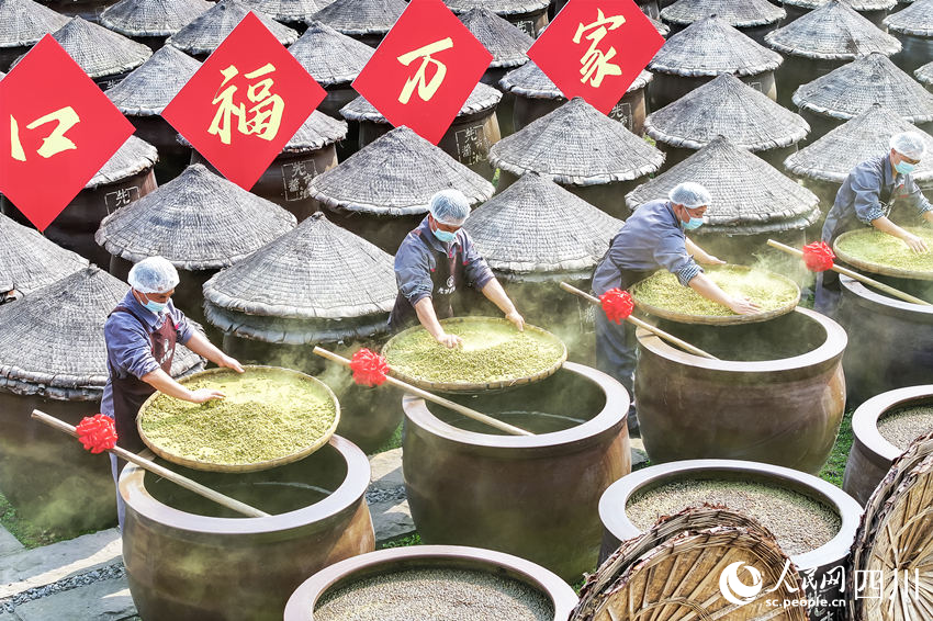 工人搶抓時節開啟今春的手工投料工作。李貴平攝