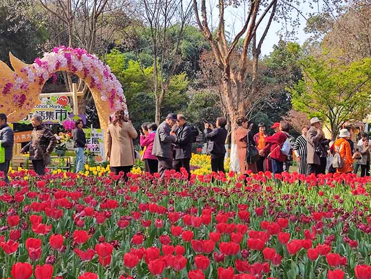 市民观花展。青羊区融媒体中心供图