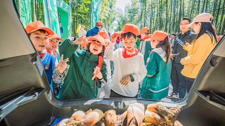 孩子们将竹笋搬运到车上。蜀南文旅集团供图