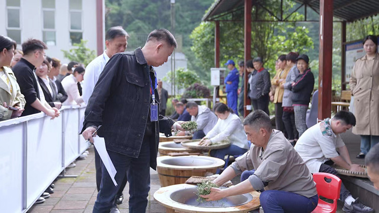 专家制茶现场。王佑涵供图