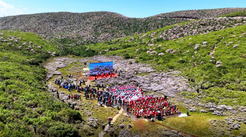 2024清涼涼山·昭覺索瑪花季開幕式現場。昭覺縣融媒體中心供圖