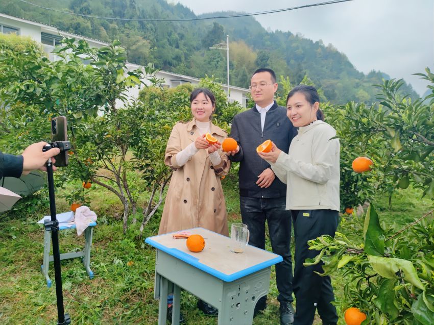 青见柑橘直播带货现场。巴州区烟草专卖局供图