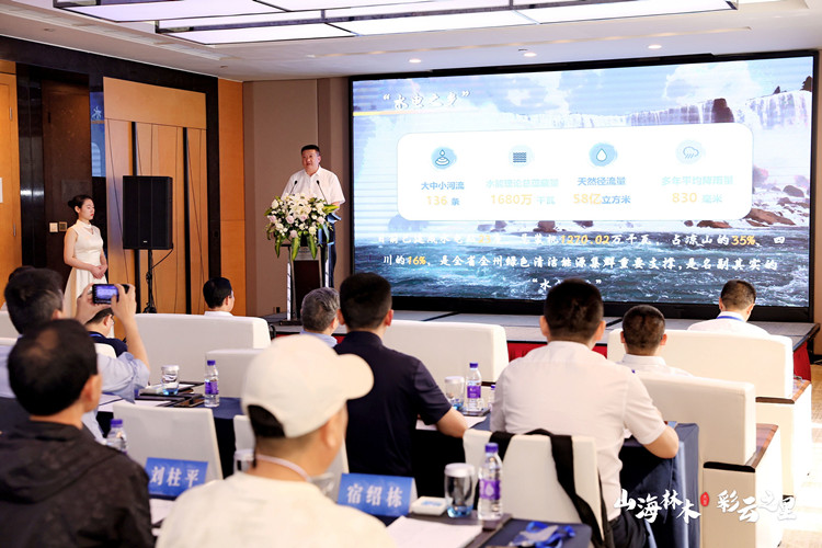 推介会现场。主办方供图