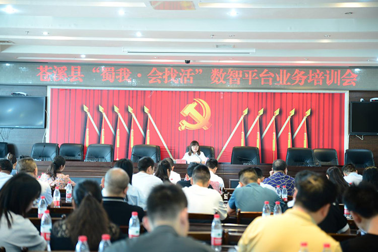 培训会现场。何琳供图