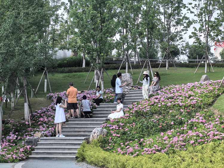 市民在龙栖谷公园拍照打卡。叙州区融媒体中心供图