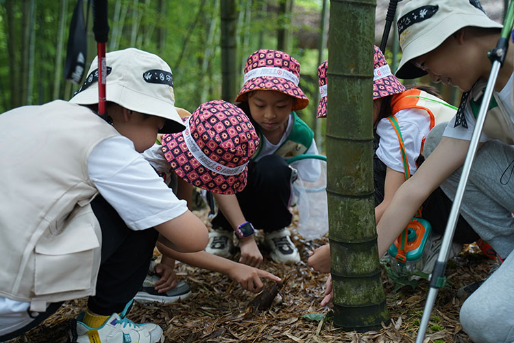 僰王山竹林生态研学课程。蜀南文旅集团供图