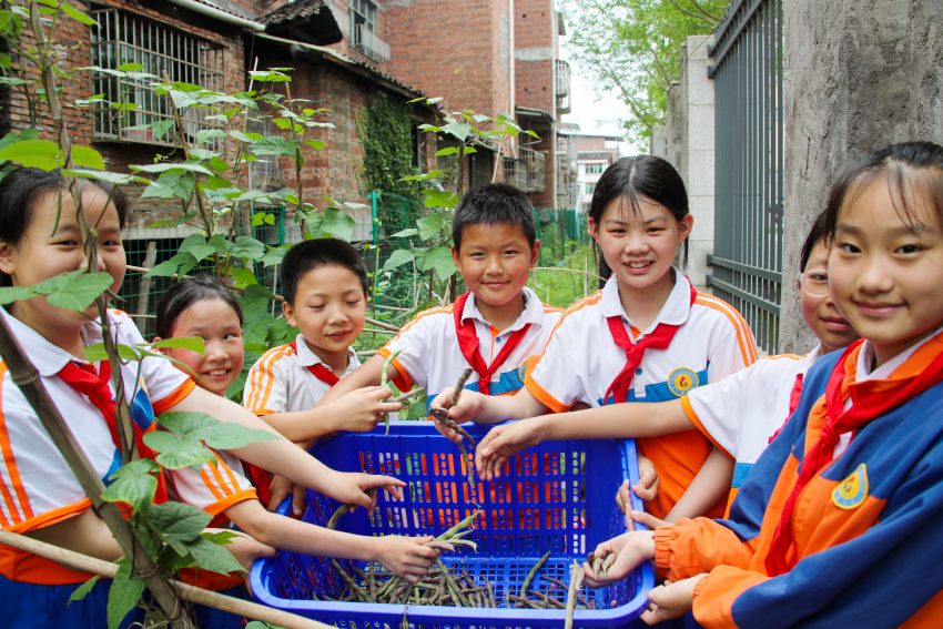 孩子们展示采摘的四季豆。宣汉县委宣传部供图